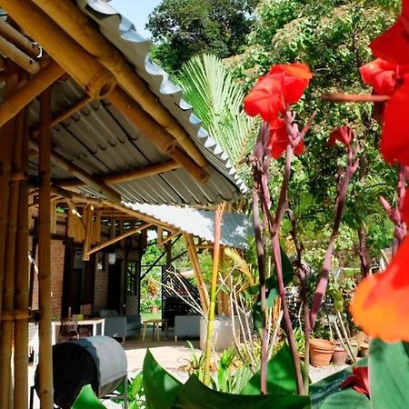 פנתאי צנאנג Bamboo Cottage Langkawi מראה חיצוני תמונה